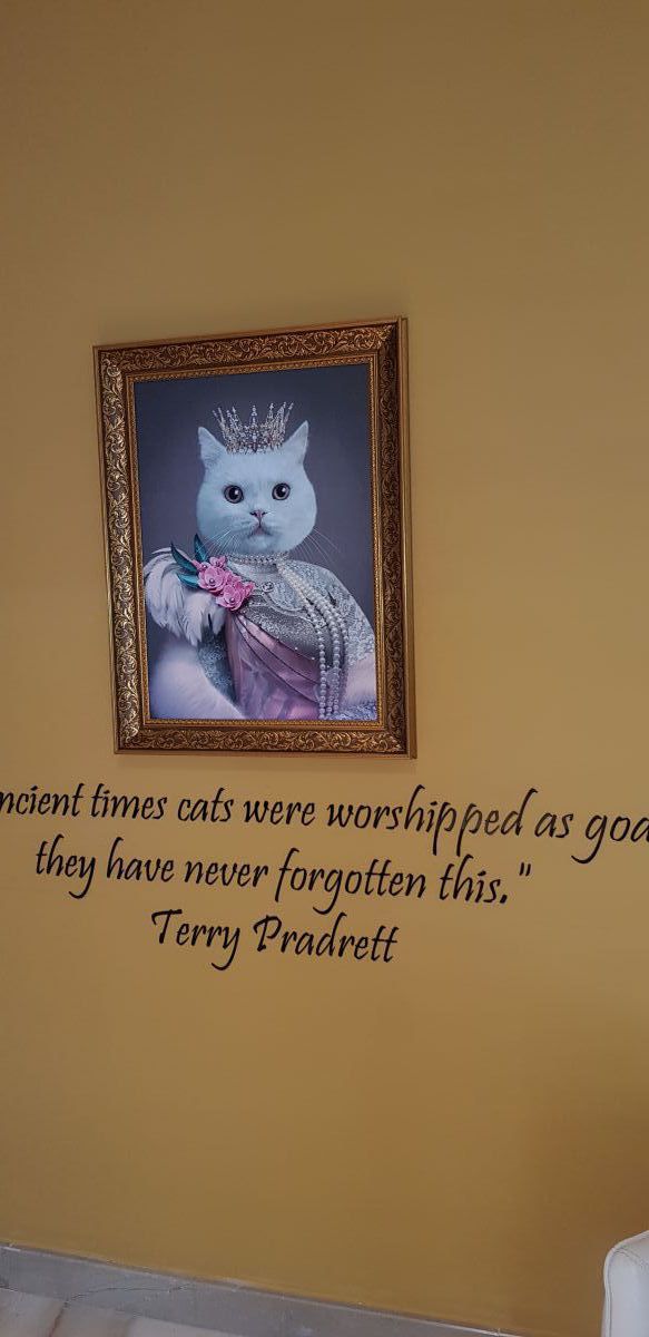 imagini hotel NIRVANA LARA